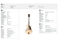 Gretsch G2420TG Streamliner Hollow Body LTD Vintage White Gretsch G2420TG Streamliner Hollow Body LTD Vintage White